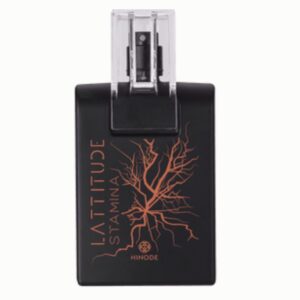 Lattitude stamina Masculino