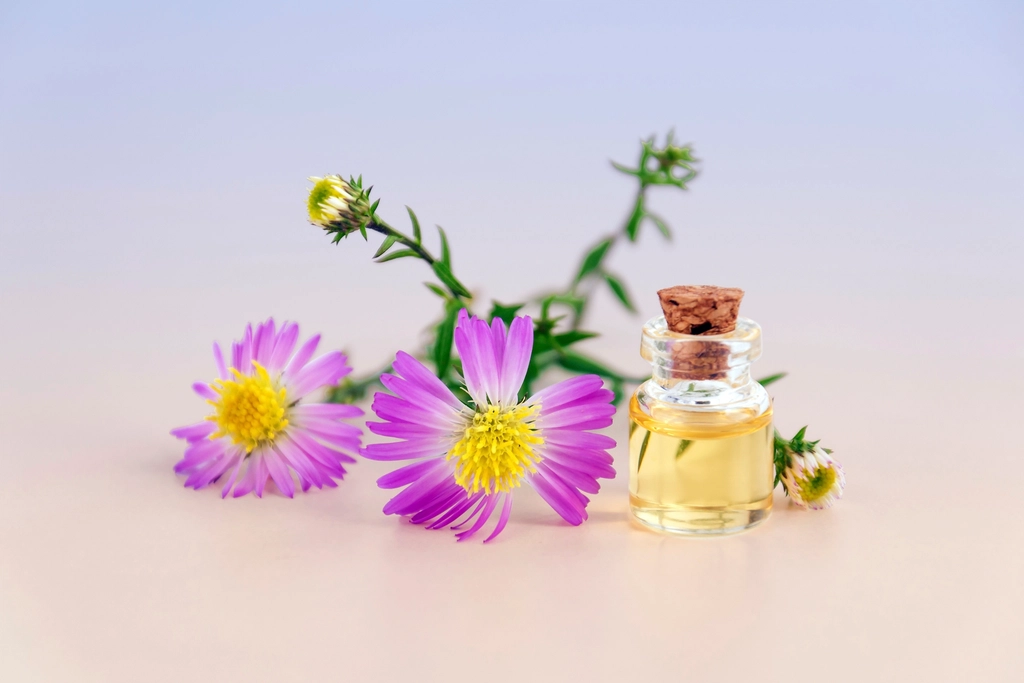 Fragancias Florales Perfumes para el Verano